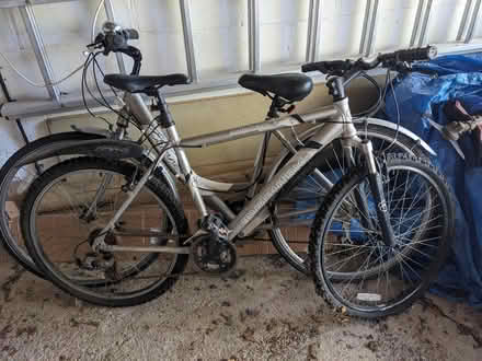 Photo of free Bicycles (Ditchling Common BN6) #3