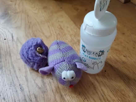 Photo of free Cat toy and bubbles (Wallands Park BN7) #1