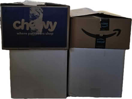Photo of free 4 Large Boxes (West 7th) #1