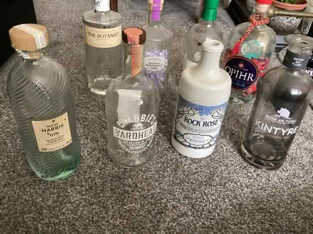 Photo of free Decorative Gin bottles (Upton CH49) #3