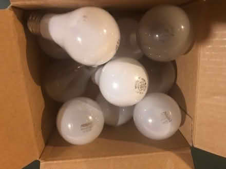 Photo of free 10 incandescent light bulbs (Barrhaven/riverside s/Manotic) #1