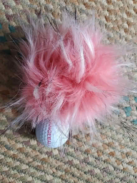 Photo of free Fluffy pompom for hat (Wallands Park BN7) #1