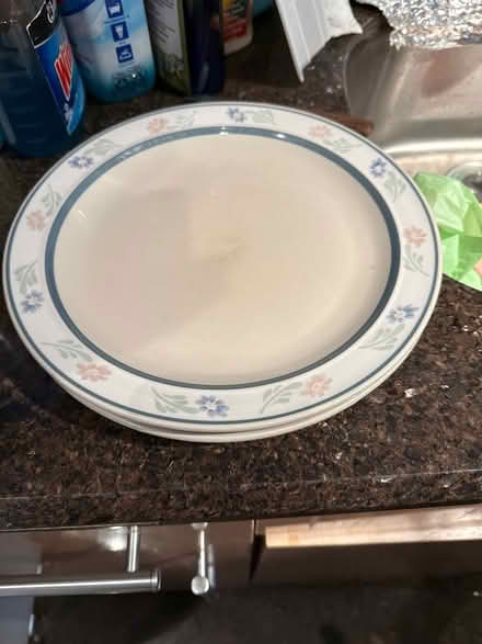 Photo of free 2 dinner plates (Riverdale, Bronx, New York) #1