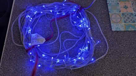Photo of free Blue LEDs fairy light string (Gorse Hill GU22) #1