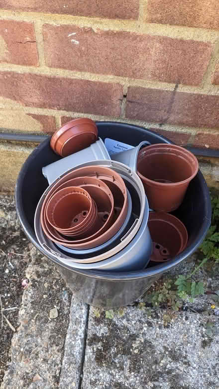 Photo of free Plant pots (west side of Horsham RH12) #1