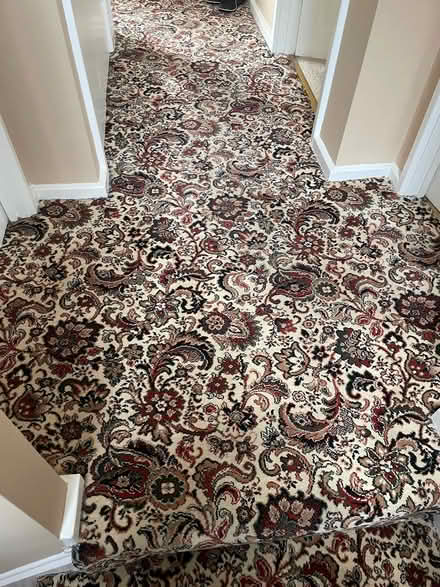 Photo of free Carpet (Eccleshill BD10) #2