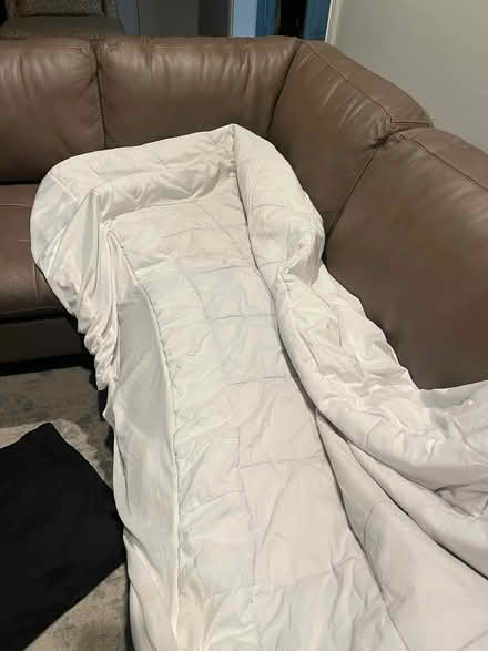 Photo of free Twin xl mattress cover (Chevy Chase DC) #2