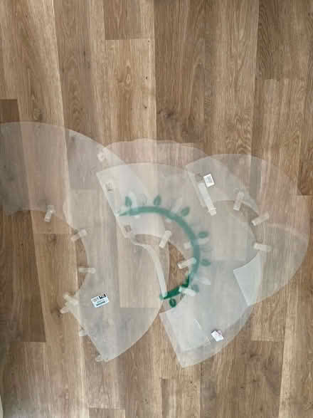 Photo of free Buster Collars (Hillmorton CV21) #1