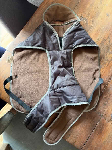 Photo of free Dog coat (Chiswick W4) #2