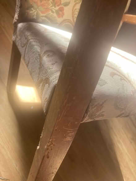 Photo of free Upholstered child chair (Colchester station CO4) #2