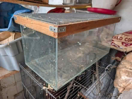 Photo of free Glass tank with mesh roof (Faversham) #1