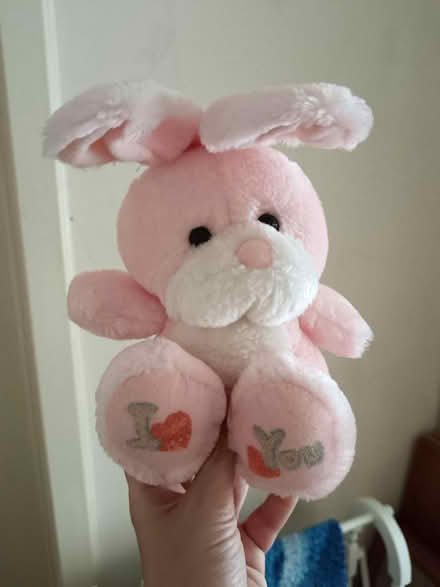 Photo of free Soft Toys (St. Stephen's CT2) #2