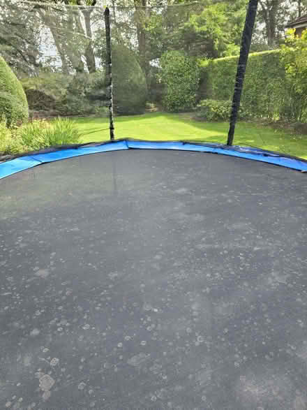 Photo of free Large trampoline (Wigton Moor LS17) #1