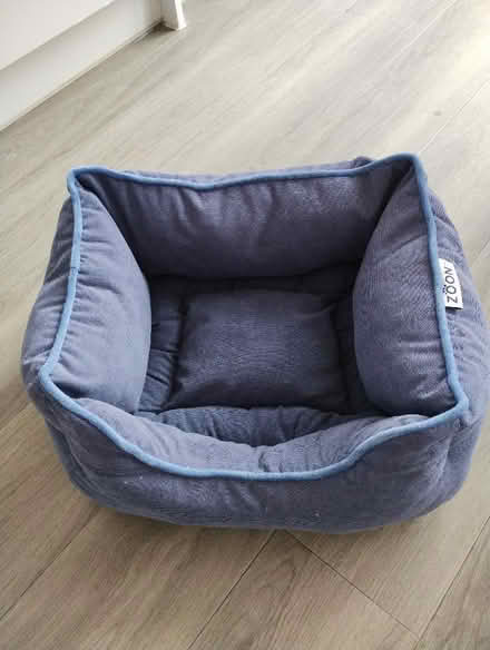 Photo of free Cat/dog bed (Arleston DE24) #1