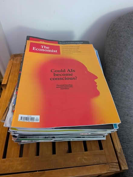 Photo of free The Economist magazines (S11 near Endcliffe park) #1