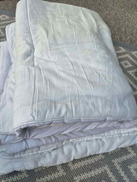 Photo of free Two old single duvets (Abermule SY15) #1