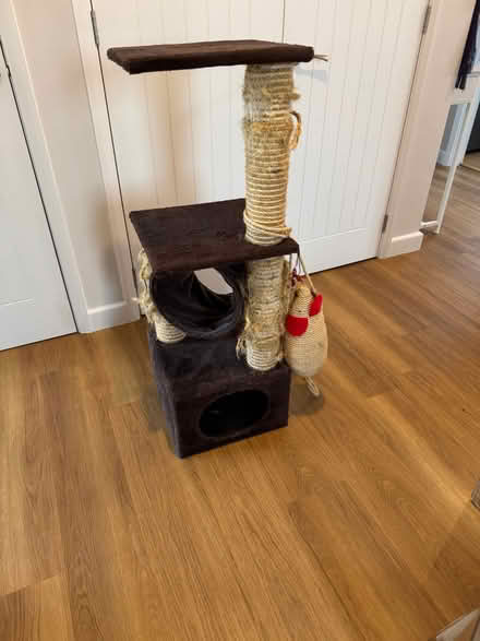 Photo of free Cat climbing frame and scratching post (Rhiwlas LL57) #1