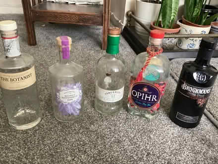 Photo of free Decorative Gin bottles (Upton CH49) #2