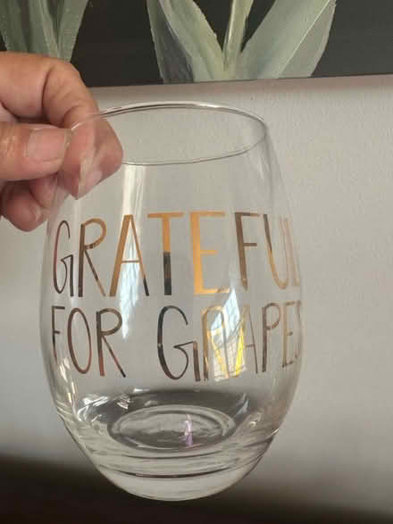 Photo of free Stemless wine glasses (Burlington) #3