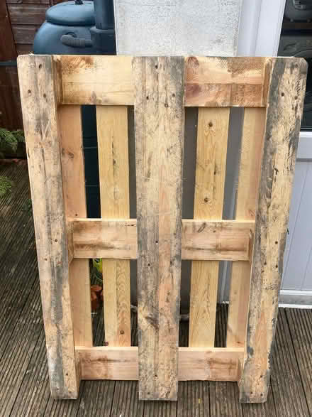 Photo of free wooden pallet (HG2 Starbeck) #1
