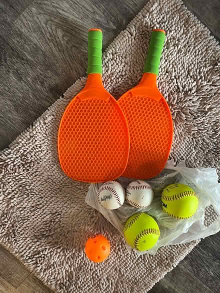 Photo of free Bear ,pickleball, table (Fairfax virginia) #1
