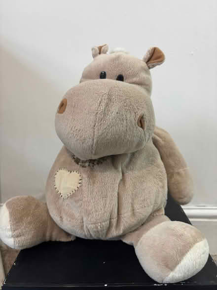 Photo of free Hippo Plushy Toy (Hanley ST1) #1