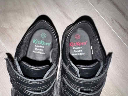 Photo of free Brand new kickers toddler shoes UK5 (West Hampstead NW6) #2