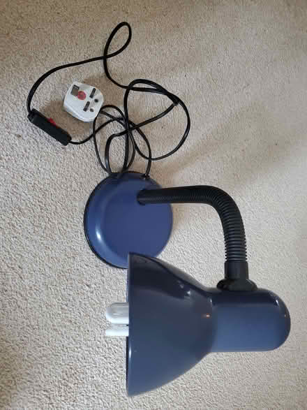 Photo of free Mini anglepoise lamp (Wallands Park BN7) #1