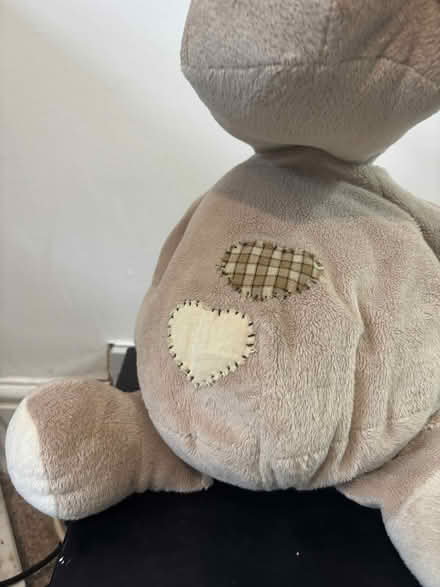 Photo of free Hippo Plushy Toy (Hanley ST1) #2