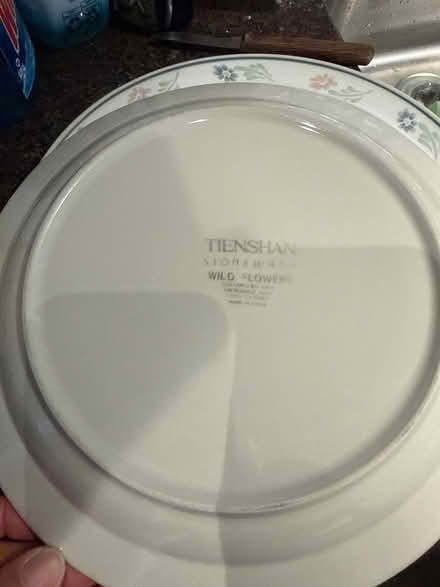 Photo of free 2 dinner plates (Riverdale, Bronx, New York) #2