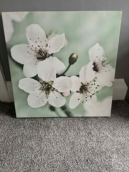 Photo of free Canvas print (Portwood SK1) #1