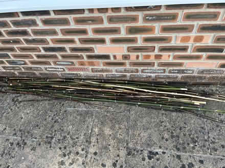 Photo of Bamboo canes (East Hartburn TS18) #1
