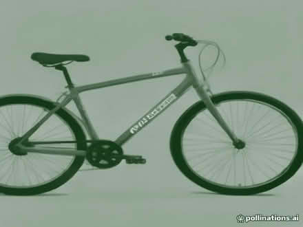 Photo of Adult bike for beginners (Leverstock Green HP2) #1
