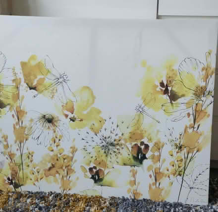 Photo of free Canvas picture (Blunham MK44) #1
