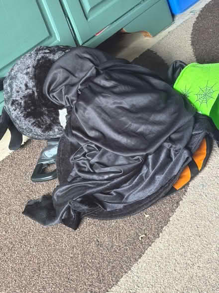 Photo of free Halloween bits (Shefford SG17) #2