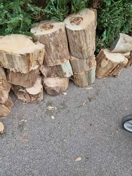 Photo of free Wood for Log Burner (Cropston) #1