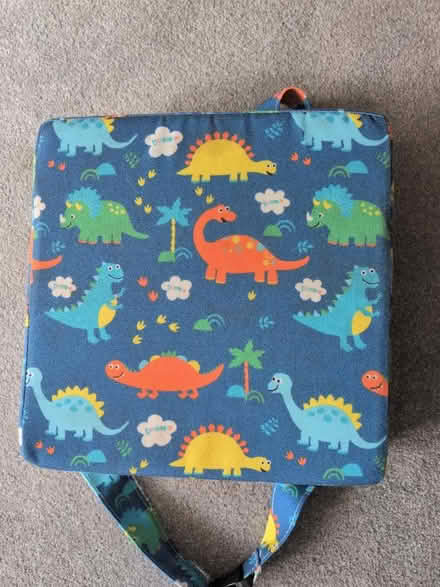 Photo of free Booster cushion for dining chair (Steyning BN44) #1