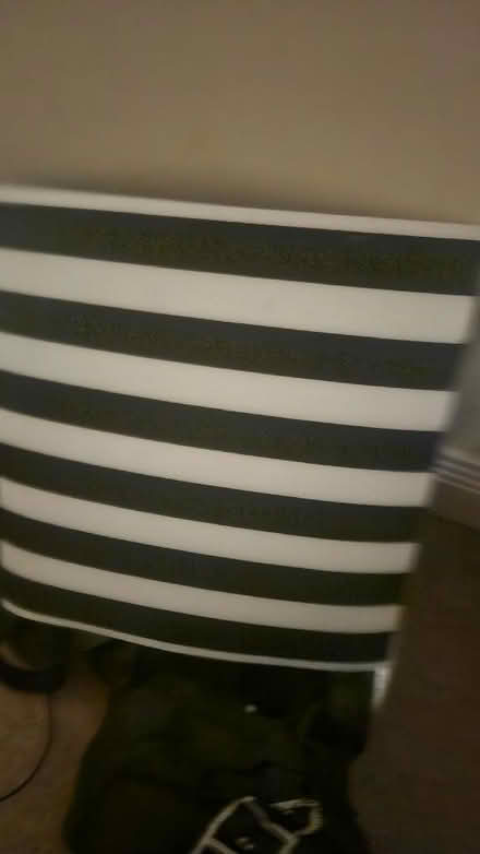 Photo of free Tablemats (black and white) (Cheshunt EN8) #1