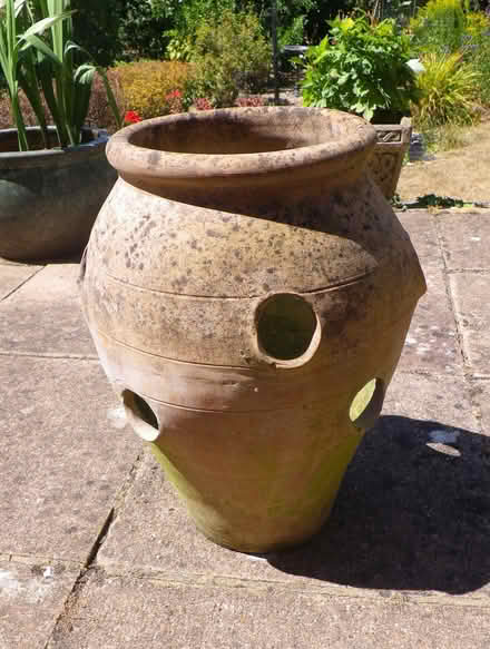 Photo of free Strawberry pot (Ware SG12) #1