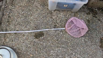 Photo of free Kids fishing net (west side of Horsham RH12) #1