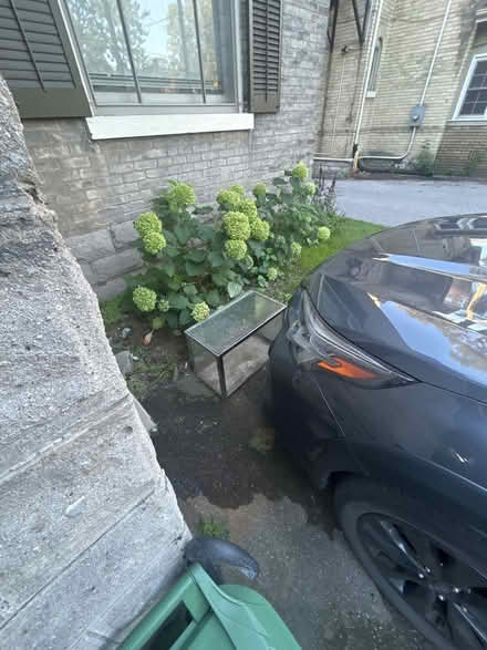 Photo of free Old aquarium /terrarium (close to Oxford and Richmond) #1