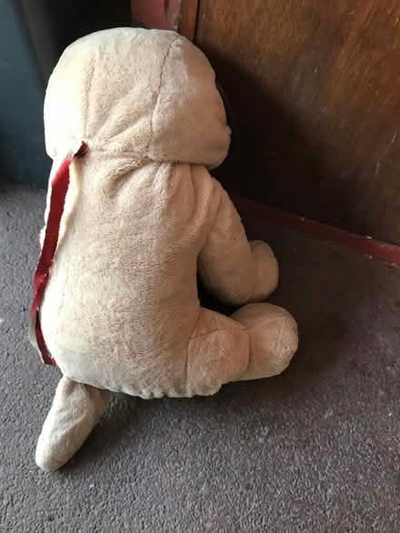 Photo of free Large Soft Toy Dog (South Wimbledon, SW19 SW19) #2