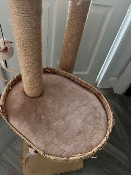 Photo of free Cat tree (Loughton IG10) #3