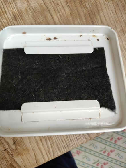 Photo of free Compost caddy (Jericho OX2) #4