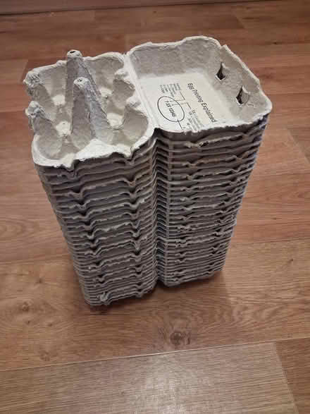 Photo of free Egg boxes (Crosspool S10) #1