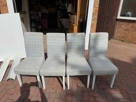 Photo of free White Gloss Table and 4 Chairs (Wellingborough NN8) #3