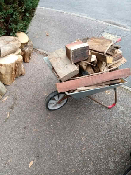 Photo of free Wood for Log Burner (Cropston) #3