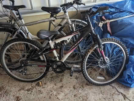 Photo of free Bicycles (Ditchling Common BN6) #4