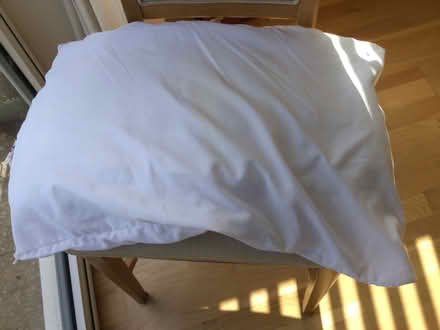 Photo of free 3 pillows (Sturry CT2) #1