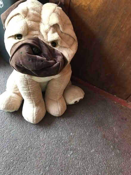 Photo of free Large Soft Toy Dog (South Wimbledon, SW19 SW19) #1